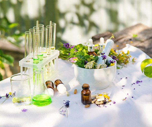 A Legacy Rooted in Healing