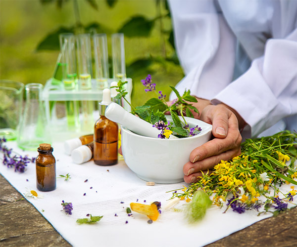 Continuing the Tradition